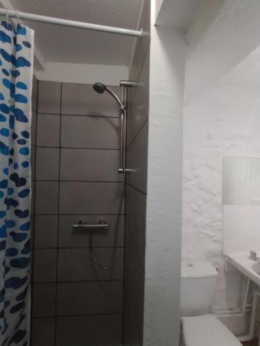 Un baño con ducha, inodoro y lavabo. en La Tranquillite, La Serenite, en Nanteuil-de-Bourzac