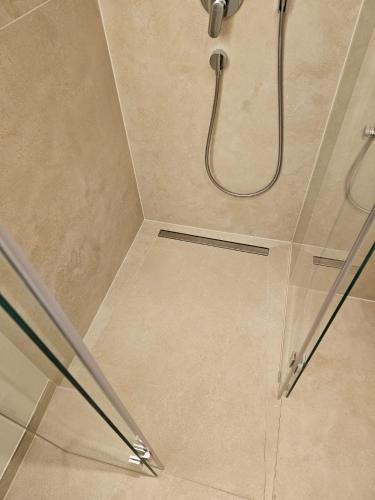 a shower with a shower head in a bathroom at Bella Boltenhagen in Boltenhagen