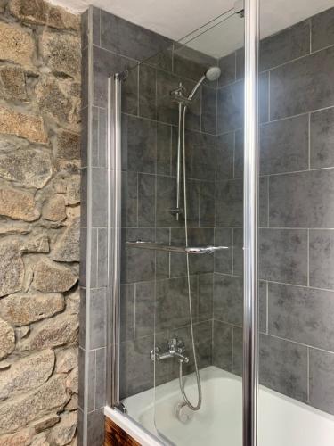 een douche met een glazen deur in de badkamer bij Gîte des Pommiers in Le Fresne-Poret