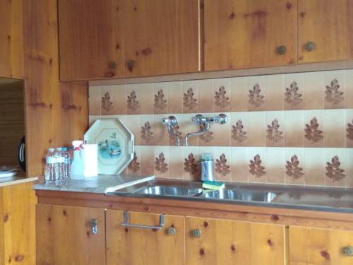 a kitchen with a stainless steel sink and wooden cabinets at Village Apartment 