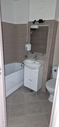 a bathroom with a sink and a tub and a toilet at APARTAMENT 2 CAMERE in Bechet