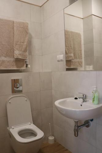 ein Bad mit einem WC und einem Waschbecken in der Unterkunft Dom Studenta PANS - Akademik, Hostel in Przemyśl