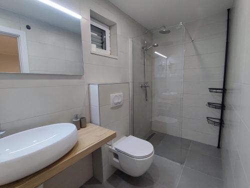 ein Bad mit einem Waschbecken, einem WC und einer Dusche in der Unterkunft Apartments Ivančić in Mimice