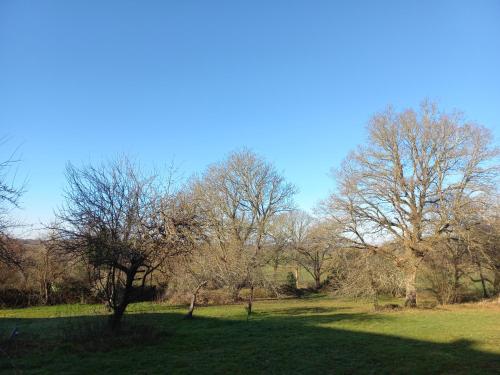Naturlandschaft in der Nähe des Ferienhauses