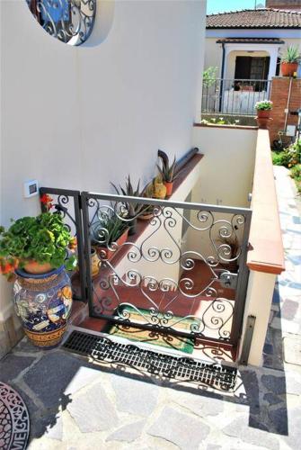 a balcony with a gate and a potted plant at sunny courtyard in Piombino