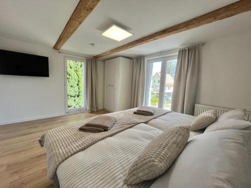 a bedroom with two beds and a flat screen tv at Ferienhaus „Am Sandstein“ in Papstdorf
