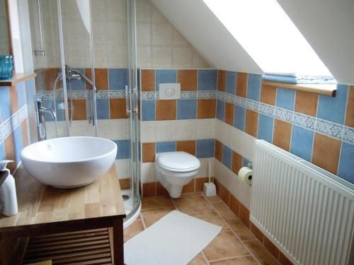 La salle de bains est pourvue d'un lavabo et de toilettes. dans l'établissement Farma Mošna, à Zbytiny