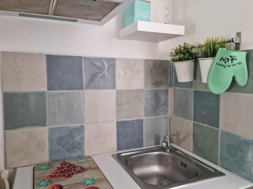 kuchnia ze zlewem i roślinami na ścianie w obiekcie Le Secret de Sanary w mieście Sanary-sur-Mer
