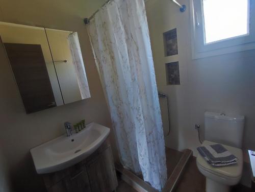 uma casa de banho com um lavatório e uma cortina de chuveiro em A & F Apartments - Fay's house em Kalivia Poligirou