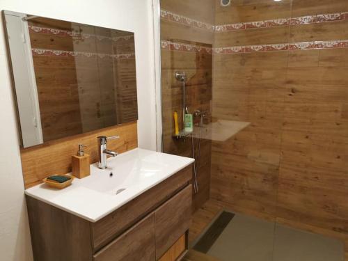une salle de bain avec un lavabo et une douche avec un miroir dans l'établissement Maison de ville 4pers, à Issoire