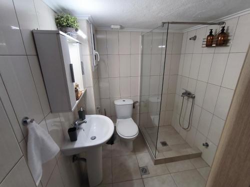 a bathroom with a shower and a toilet and a sink at Zoe Apartment in Kavála
