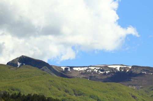 a mountain covered in snow and green trees at Agriturismo I Giggi in Rezzoaglio