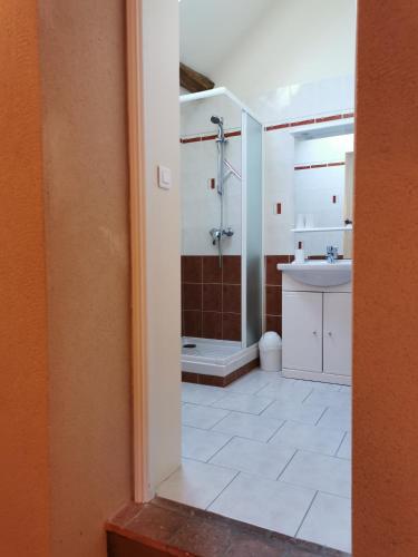 une salle de bain avec douche et lavabo dans l'établissement Gîte le 