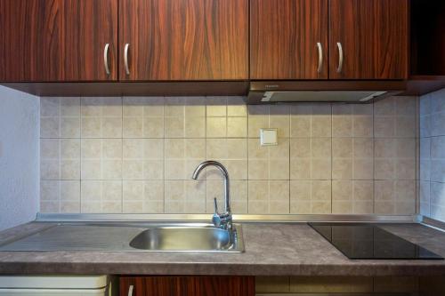 a kitchen counter with a sink and wooden cabinets at Sunset Studios in Toroni