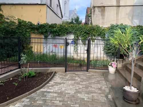 a black iron gate with plants and a courtyard at Casa Toma M in Baia Mare