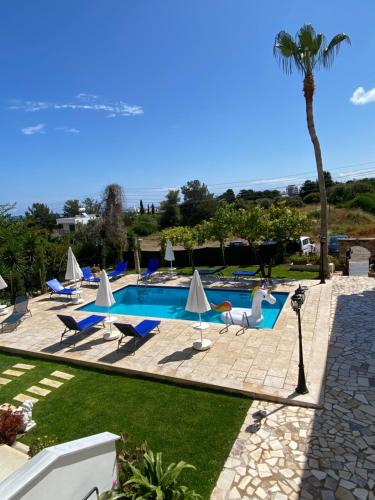 a swimming pool with lounge chairs and a palm tree at Templos Homes in Kérynia