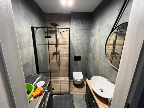 W łazience znajduje się umywalka, toaleta i lustro. w obiekcie Luksusowy apartament Charzykowy w Charzykowach