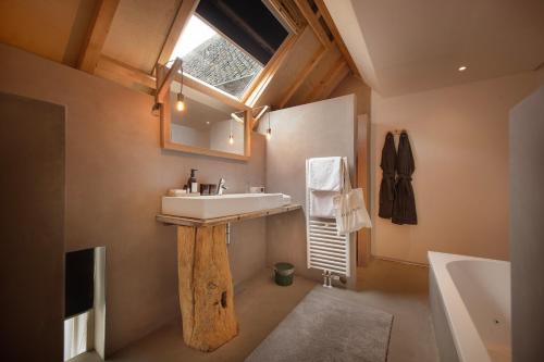 ein Bad mit einem Waschbecken, einem Spiegel und einem Fenster in der Unterkunft B&B Le Rêve Maastricht in Maastricht