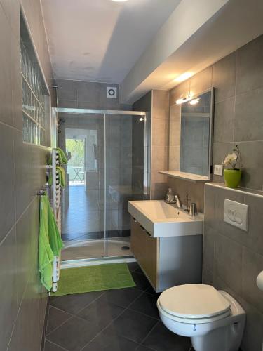 a bathroom with a shower and a toilet and a sink at Apartments Rose in winter in Bled