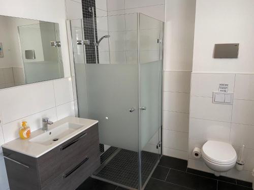 a bathroom with a shower and a sink and a toilet at Ferienhaus 14 "Gut Tossens" in Tossenserdeich