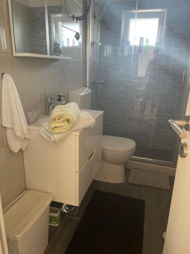 a small bathroom with a toilet and a shower at Island Escape in Mali Iž