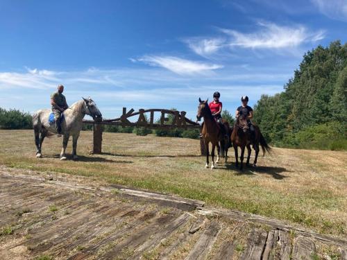 a group of people riding horses in a field at Domki Letniskowe Kalem in Zabin