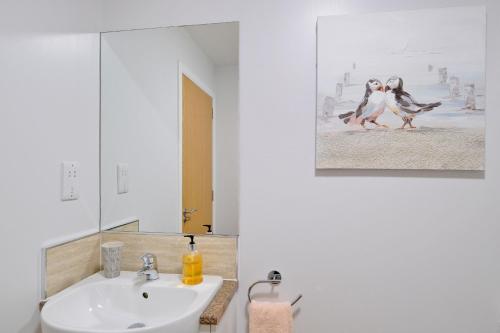 Caledonia Newhills Apartment في أبردين: حمام مع حوض ومرآة واثنين من البطاريق