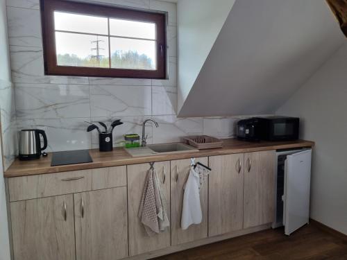 Kuchyň nebo kuchyňský kout v ubytování Apartmány u Petra Jeseník