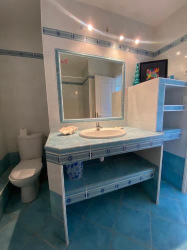 une salle de bain avec un lavabo et un miroir dans l'établissement appartement du soleil, à Patrimonio