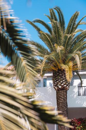 Fotografie z fotogalerie ubytování Hôtel La Villa Cap d’Antibes v destinaci Juan-les-Pins