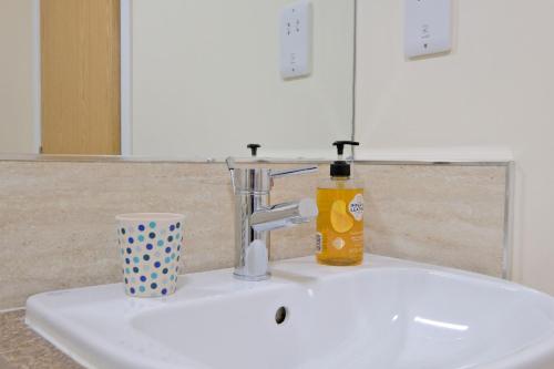 - un lavabo avec une bouteille de savon et une tasse dans l'établissement Caledonia Netherhills Apartment, à Aberdeen