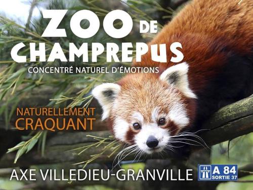 a poster of a red panda in a tree at Le petit atelier, centre-ville, vue rivière in Villedieu-les-Poëles