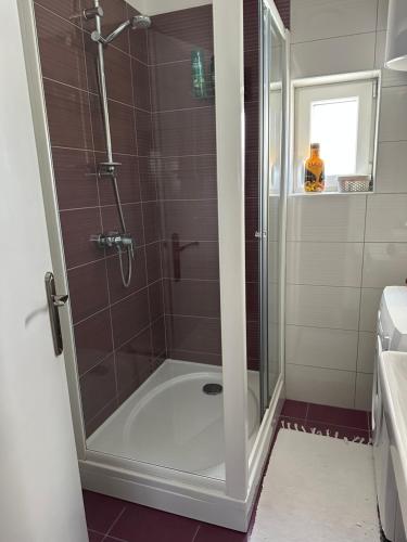 una doccia con porta in vetro in bagno di Šibenik apartment a Šibenik