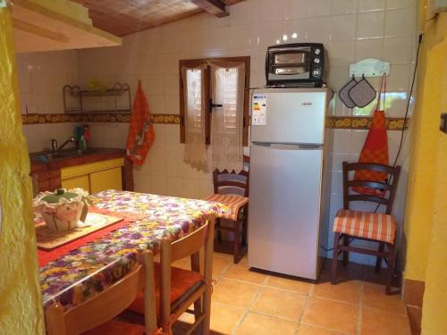a kitchen with a refrigerator and a table and chairs at Appartamento a Campiglia Marittima in Campiglia Marittima