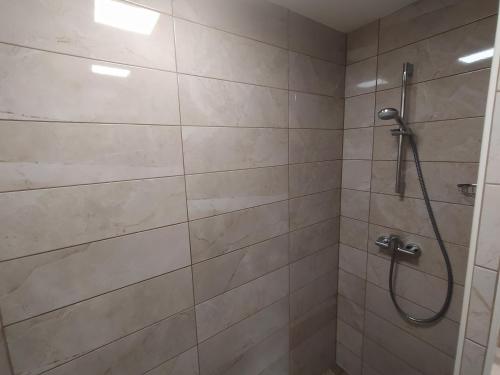 Koupelna v ubytování Apartmaji Maln