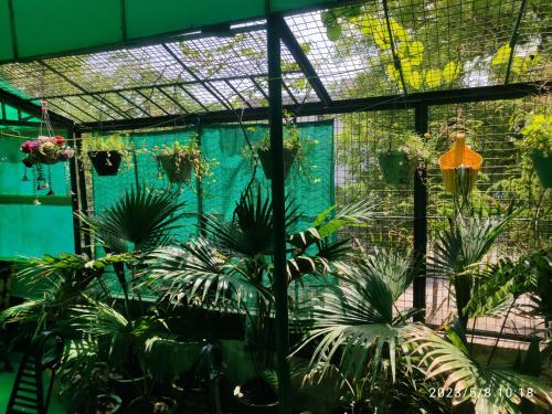a greenhouse with plants and flowers in it at Max Guest House in Agra
