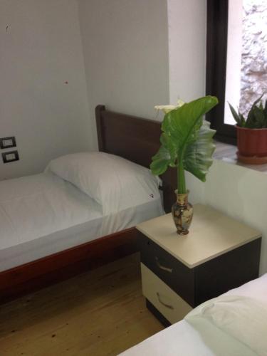 a bedroom with a bed and a plant in a vase at Eco Garten Guest House in Shkodër