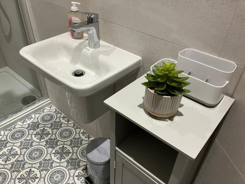 uma casa de banho com um lavatório e um vaso de plantas em HomeForYou - Holiday Home in the Wolds em Spilsby