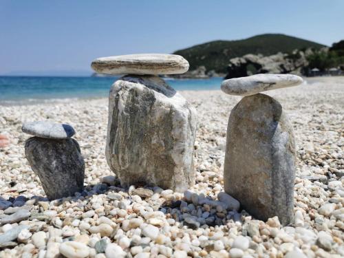 Φυσικό τοπίο κοντά σε αυτό το διαμέρισμα