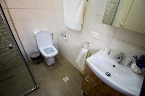 La salle de bains est pourvue d'un lavabo, de toilettes et d'une douche. dans l'établissement Pensiunea Happy Day Horezu, à Horezu