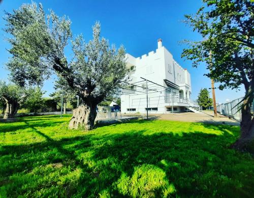 Сад в Castello Apartments
