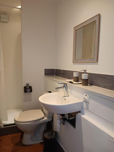 a bathroom with a toilet and a sink and a mirror at La plus belle vue du lac Léman in Montreux