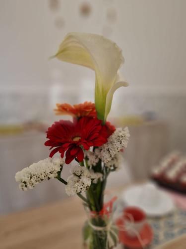 a vase filled with red and white flowers on a table at B&B Tre Sorelle in Surbo