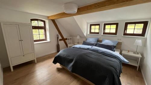a bedroom with a large bed with blue pillows at Rauschenbachmühle in Mildenau