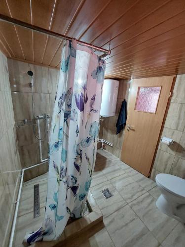 a shower curtain in a bathroom with a toilet at Casă de vacanță Danube in Moldova Nouă