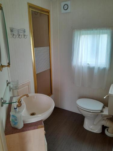 a bathroom with a white sink and a toilet at Mablethorpe L17 Caravan in Mablethorpe