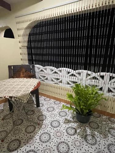 a room with a table and a plant on a floor at Janessa's Dwellery in Port Vila