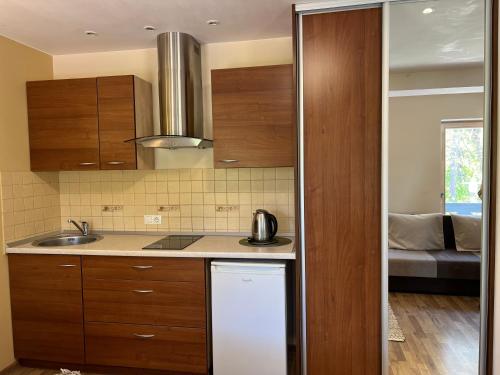 a kitchen with a sink and a counter top at Preila 69 Apartamentai in Preila