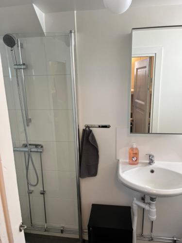 a bathroom with a shower and a sink and a mirror at Central living with many beds and private garden! in Gothenburg