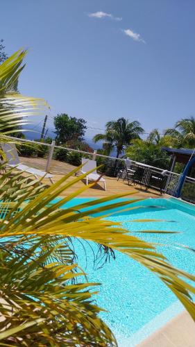 a large swimming pool with a palm tree in the foreground at Les Hauts de Bornave in Deshaies